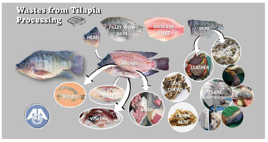 This image for Image Layouts addon