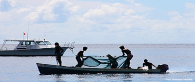 10 projects get UN funding to pursue seafood sustainability projects