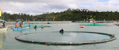 Japanese firm partners with the Philippines for mariculture development