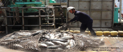 WCPFC: Revised tuna measures on the way