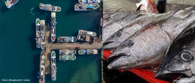 Tuna symposium kicks off on strong commitment to partnership and sustainability