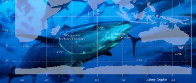 IOTC adopts catch limits and reductions in line with science