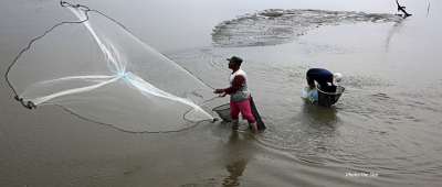 ADB loan for artisanal shrimp farming