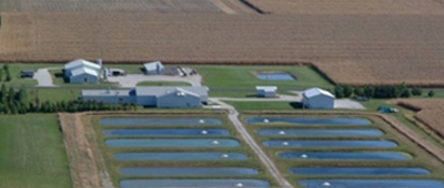 US Midwest&rsquo;s seafood sector &ldquo;a different world&rdquo; post-COVID-19