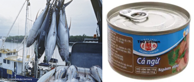 Vietnam’s tuna exports to Germany increased continuously in the first 2 months of 2023