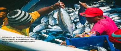 BFAR to give fishing vessels to Eastern Samar tuna catchers