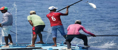 Maldives: Government to establish SOE for promoting fisheries products