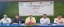 Bangladesh: Seabass farming can boost fish export, diversify aquaculture: workshop