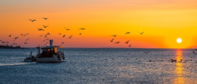 GSA launches consumer-facing website, releases update to Responsible Fishing Vessel Standard